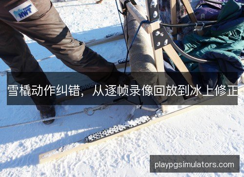 雪橇动作纠错,从逐帧录像回放到冰上修正 雪橇动作纠错,从逐帧录像回放到冰上修正